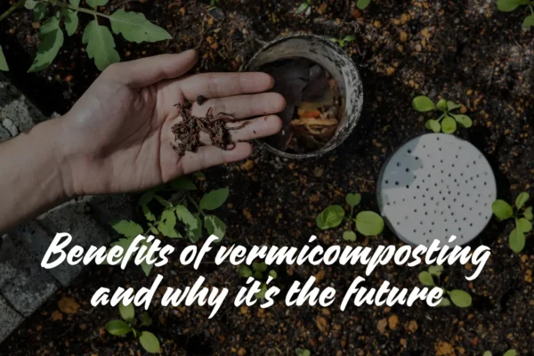 Benefits Of Vermicomposting And Why It's The Future