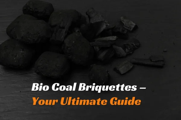 Bio Coal Briquettes – Your Ultimate Guide