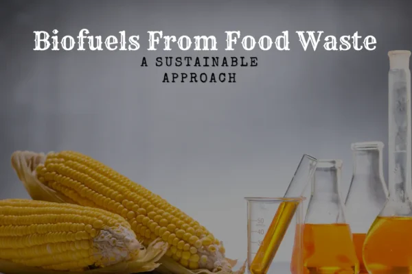 Biofuels From Food Waste – A Sustainable Approach