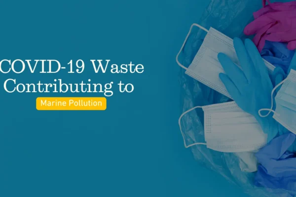 Covid 19 Waste Contributing To Marine Pollution
