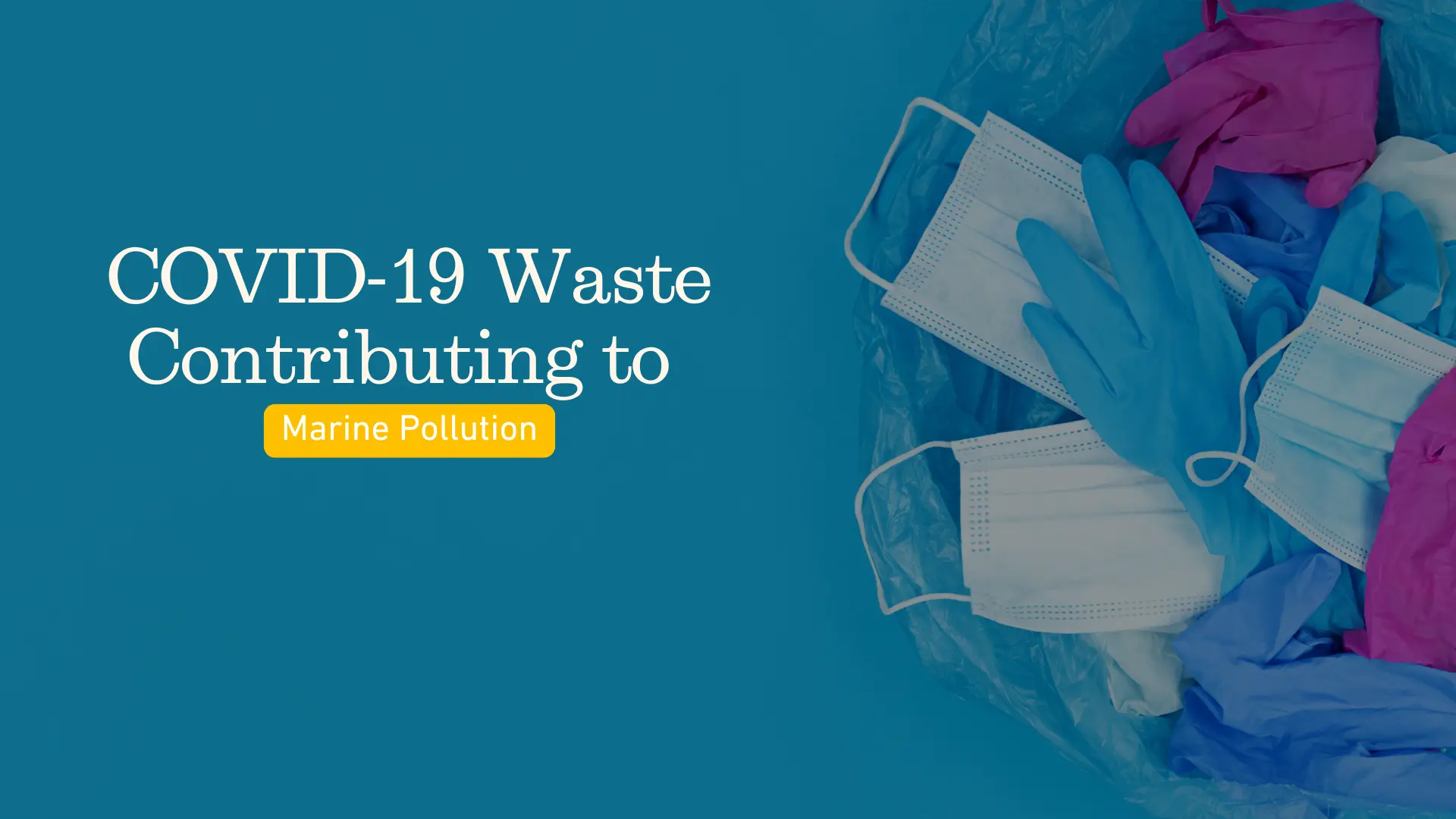 Covid 19 Waste Contributing To Marine Pollution