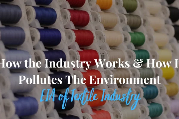 Eia Of Textile Industry – How The Industry Works & How It Pollutes The Environment