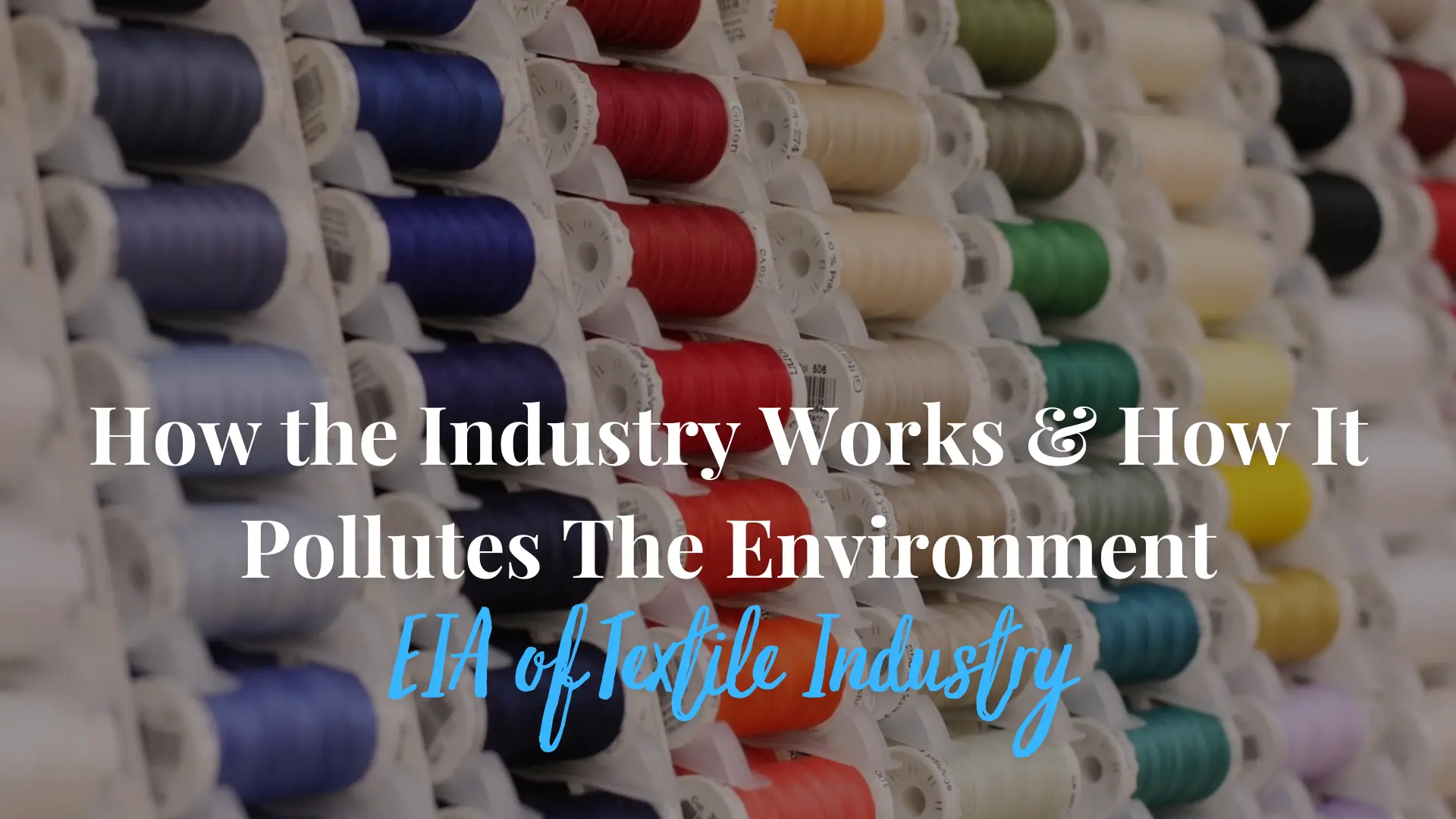 Eia Of Textile Industry – How The Industry Works & How It Pollutes The Environment