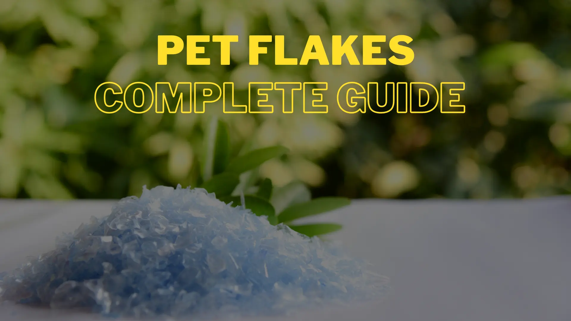 Pet Flakes – Complete Guide