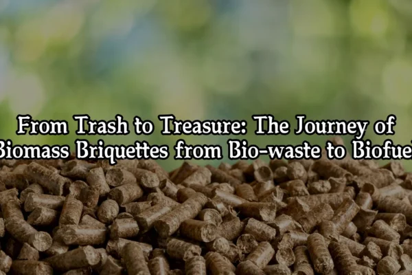 The Journey Of Bio Mass Briquettes From Bio Waste To Bio Fuel