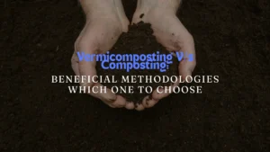 Vermicomposting V/s Composting: Beneficial Methodologies Which One To Choose
