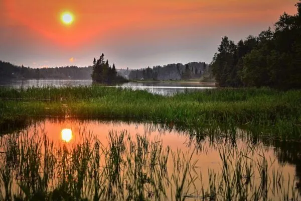 Wetland 1024x663