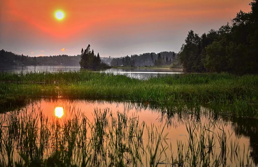 Wetland 1024x663