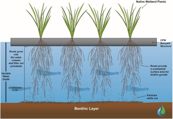 Floating Constructed Wetlands
