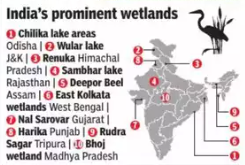 Wetlands in India