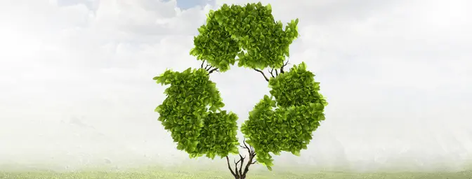 Image of Pk plastics's Recycling service