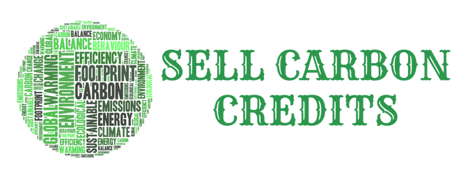 Image of Beston Group's Sell carbon credits service
